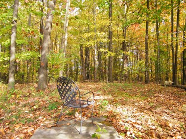 enjoy the peace and beauty of fall at the Self Realization Sevalight Centre for Pure Meditation, Healing & Counselling, Bath MI USA