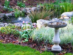 view of birdbath and pond with spring tulips